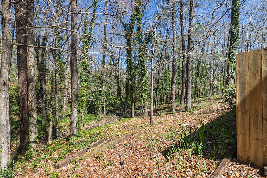 231 Alexandria Dr – Backyard 01